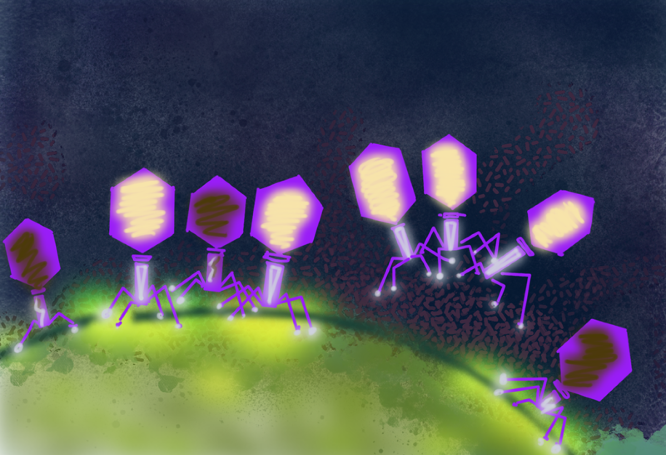 Artist’s representation of bacteriophages, the most abundant biological entities on earth. Researchers used a new CRISPR-based technology to characterize two model phages and demonstrate the potential to extend the approach to diverse phages.