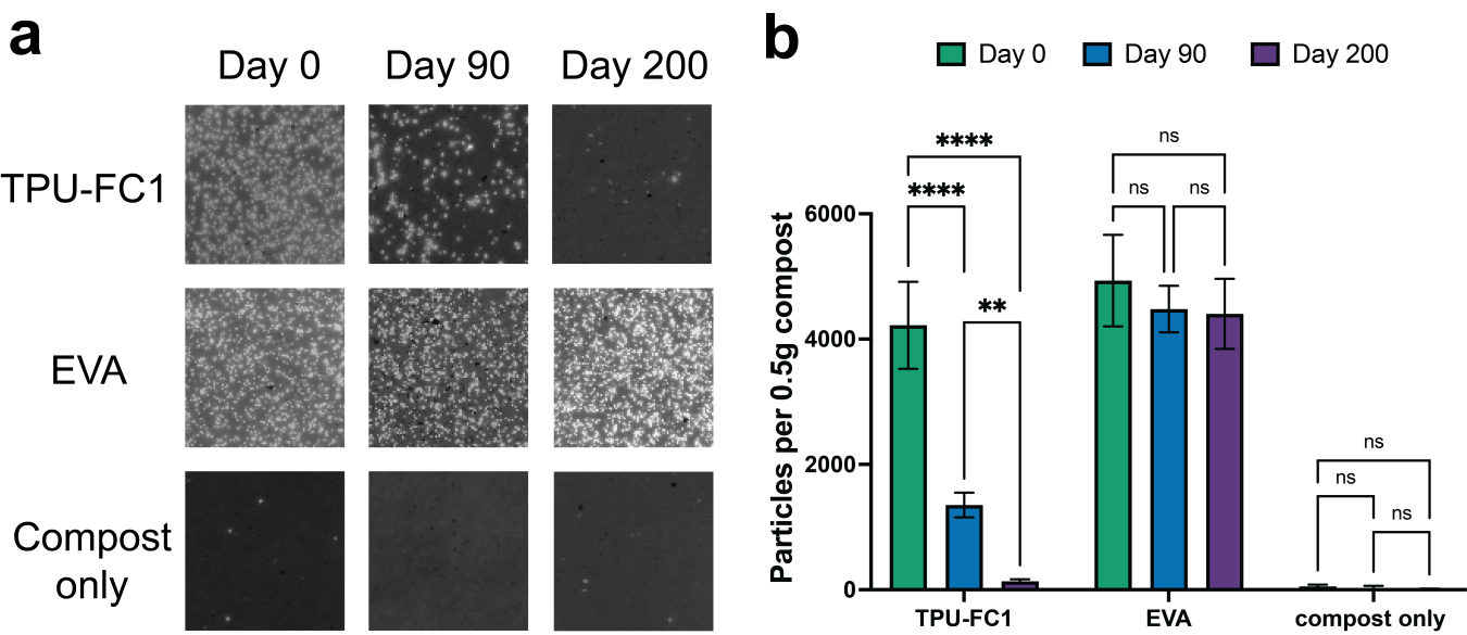 Figure 2. Soleic® Thermoplastics Polyurethane (TPU)-FC1 microplastics disappear over time in home compost, while EVA microplastics persist. Microplastics were visualized with fluorescence (a) and then quantified for each time point (b).