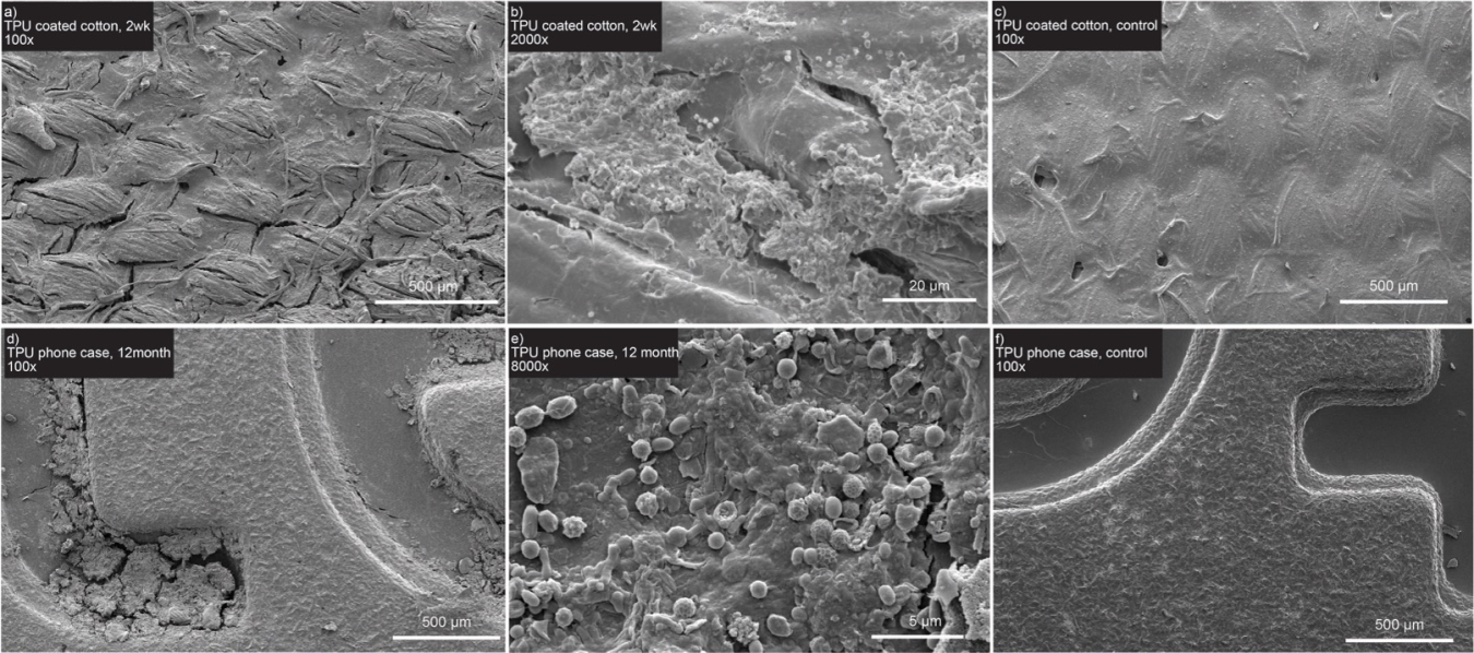 Figure 3. Scanning electron microscope (SEM) images of Soleic® TPU-coated fabric (top) and cell phone case (bottom) over time in compost (left and middle) as compared to the material before compost incubation (right).