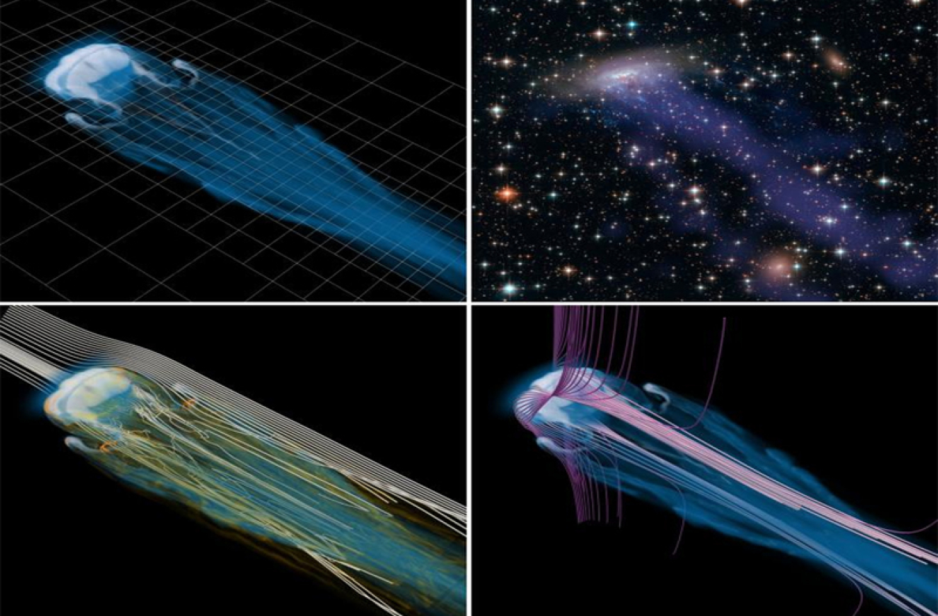 Four-image panel of colorful simulations on a black background show at top left a light blue cloud density with a tail that is overlaid with simulation mesh that is finer around the cloud; at bottom left, streamlines of wind shown in white with areas of strong vorticity in orange lead to turbulence. At bottom right, purple and blue magnetic field lines drape around the cloud; at top right is the light gray and blue jellyfish galaxy which exhibits similar behavior.