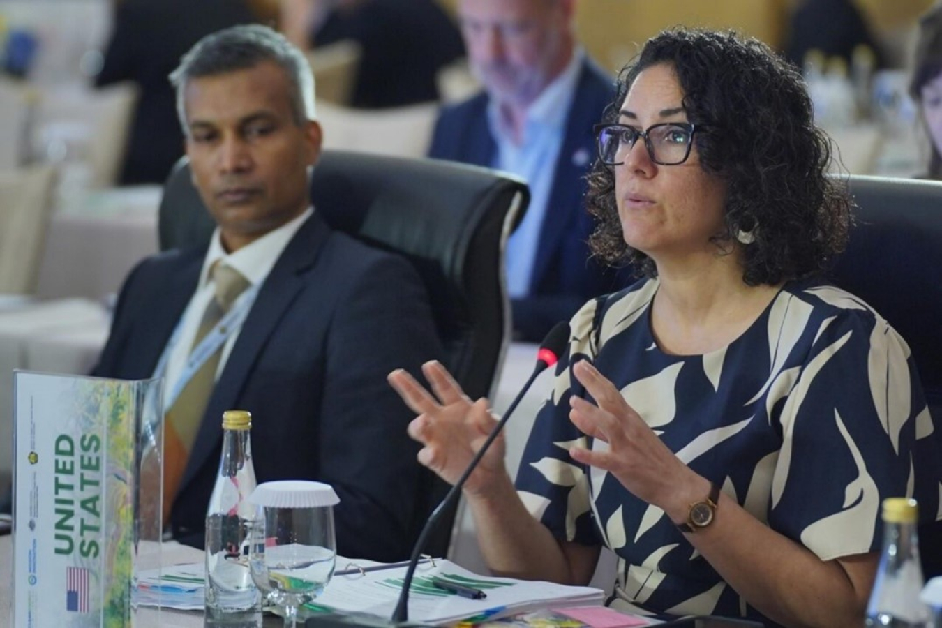 Julie Cerqueira, U.S. DOE Principal Deputy Assistant Secretary of International Affairs and the Chair of the MI Steering Committee speaking at a CEMMI plenary session.jpg