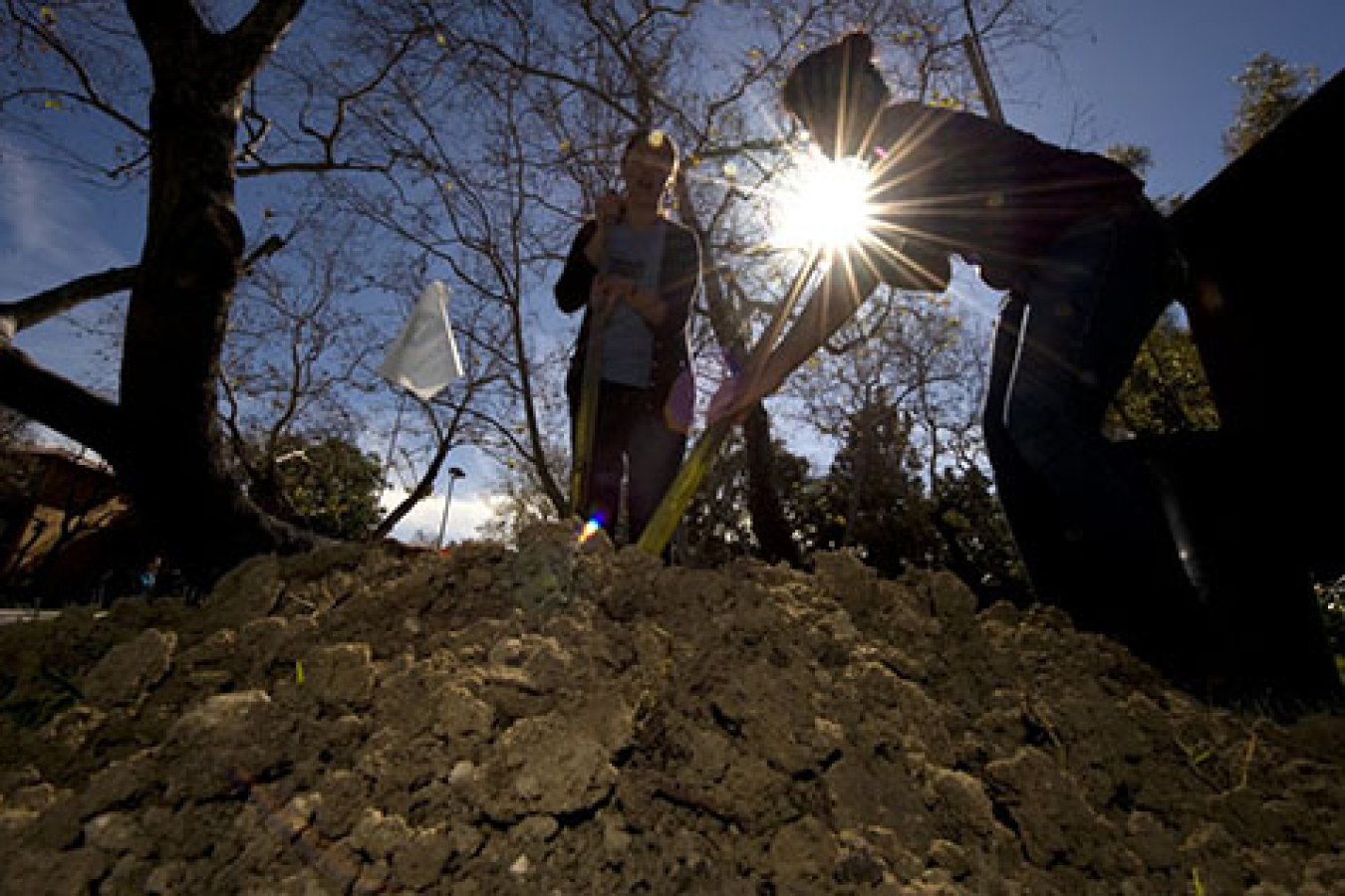 Two people digging in the dirt