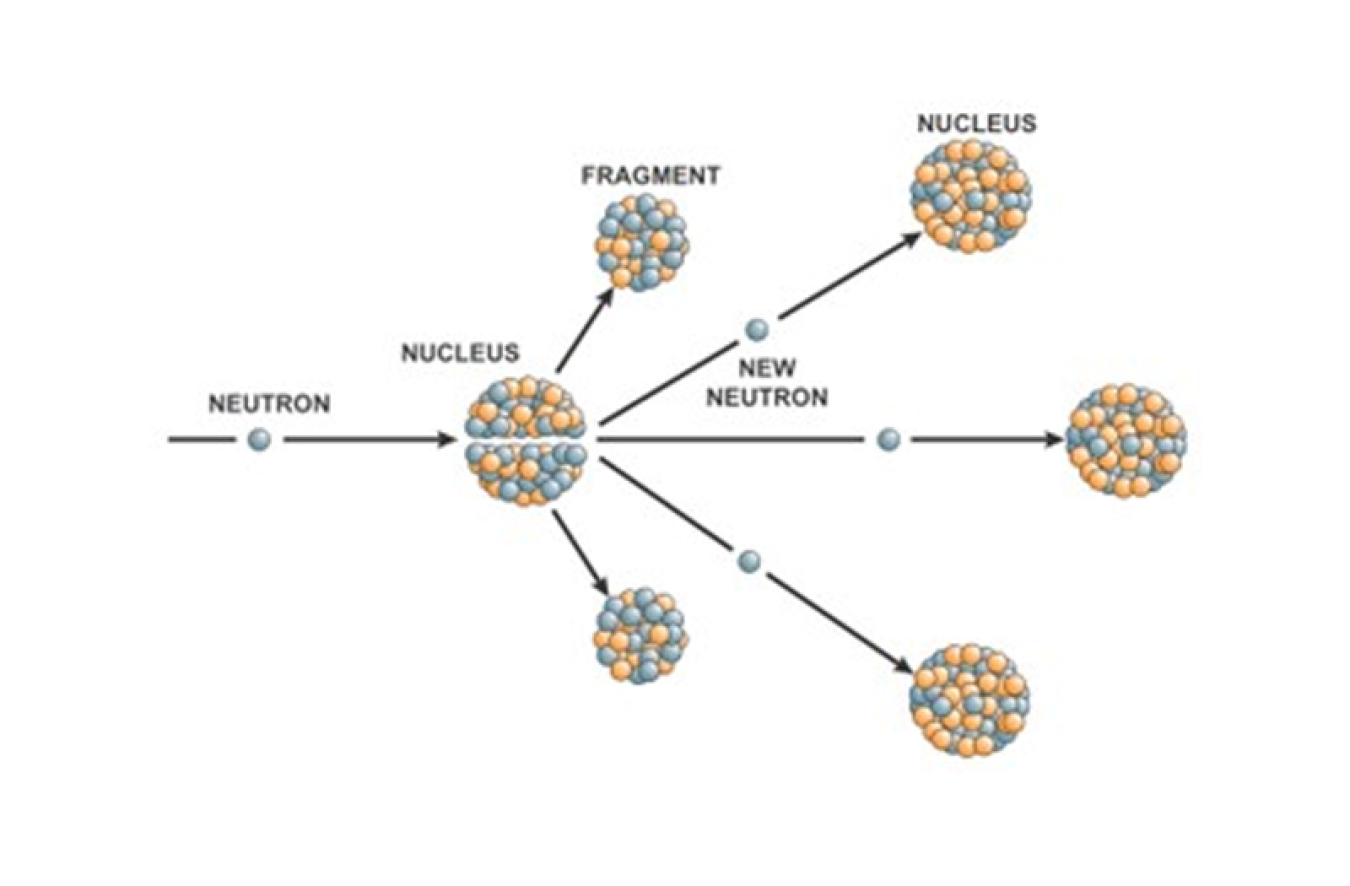 A nuclear fission reaction is a process that begins when a neutron or other particle strikes a nucleus. This creates fragments of the original nucleus. It also creates new neutrons that can then collide with other nuclei to cause more nuclear reactions. 