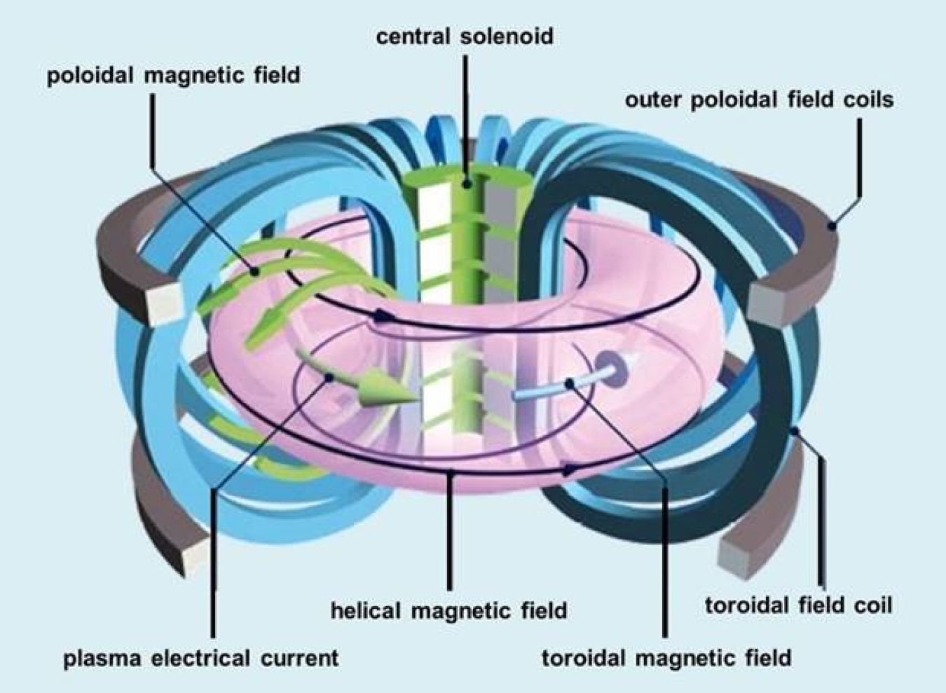 Basic tokamak components include the toroidal field coils (in blue), the central solenoid (in green), and poloidal field coils (in grey). The total magnetic field (in black) around the torus confines the path of travel of the charged plasma particles.