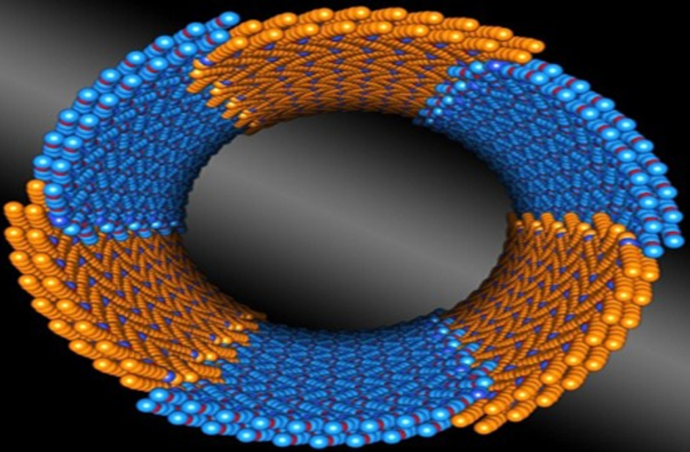 Scientists from DOE's Lawrence Berkeley National Laboratory discovered a family of synthetic polymers that self-assemble into nanotubes with consistent diameters.