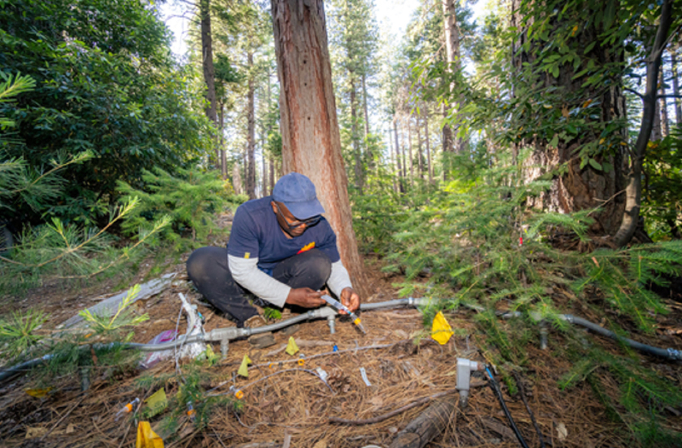 Postdoc Steve Kwatcho Kengdo, dressed in blue jeans and cap for field work, shown in the forest using a syringe to extract air from the soil and put it into a sample bottle for analysis. The air samples from different depths within the plot tell the researchers how different soil horizons react to the heating environment. There is a grey conduit at his feet, part of the circle of heating elements that are warming the soil to mimic future climate change.