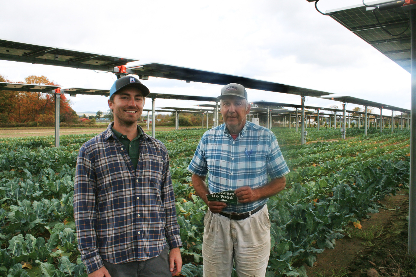 Two people standing underneath the solar array at a farm