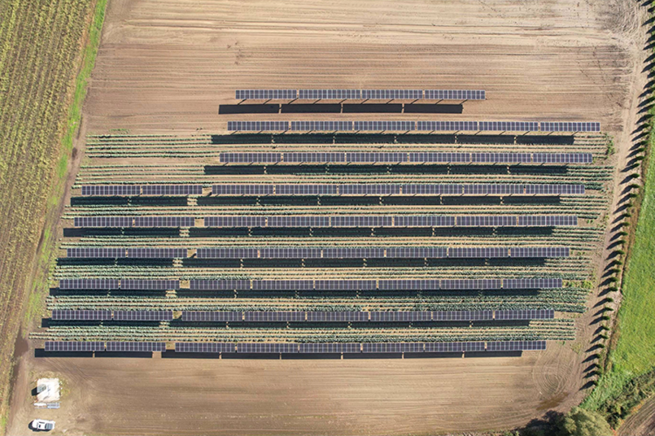 An overhead view of rows of solar panels on a parcel of farmland