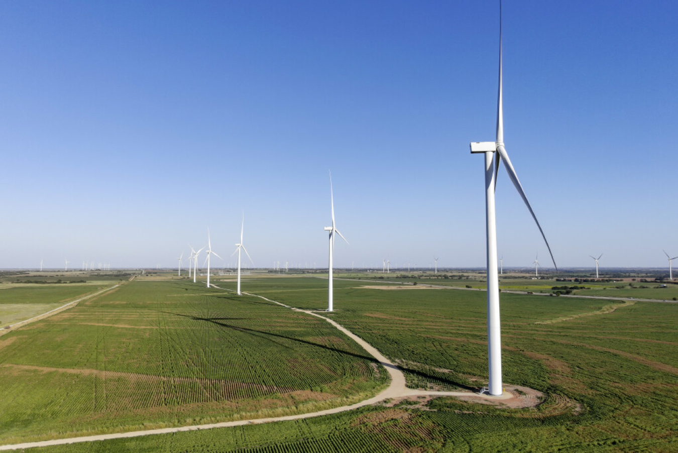 Wind turbines in a field