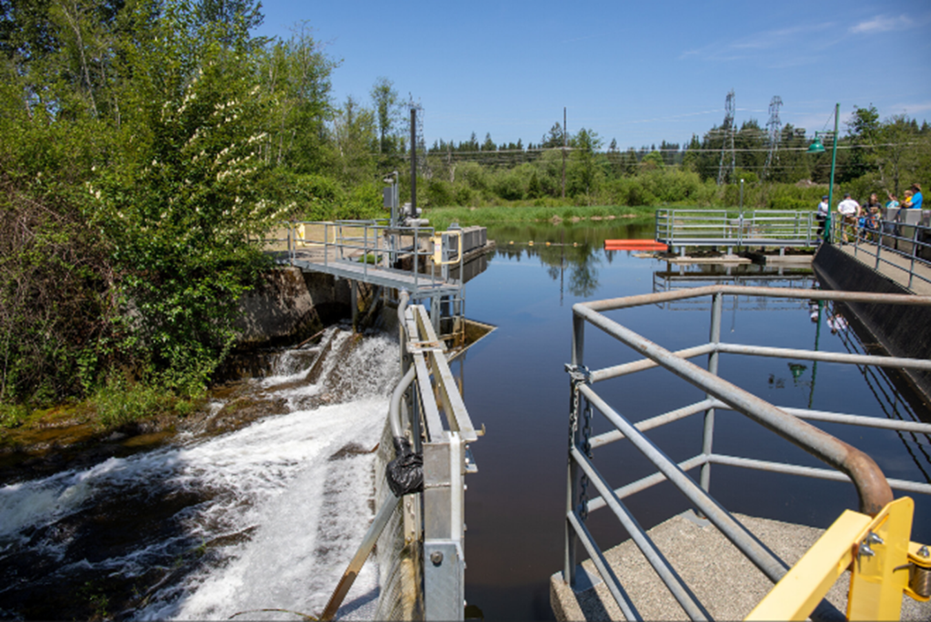 Water moves through the intake at a hydrpower plant