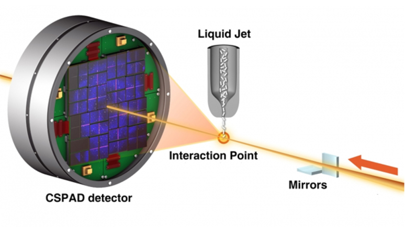 This diagram shows a basic X-ray crystallography setup at the LCLS X-ray laser. X-ray pulses (orange) strike nanocrystals that are streamed from a liquid jet, producing diffraction patterns that are collected by a detector. Thousands of these patterns can be averaged and analyzed to reconstruct molecular models.