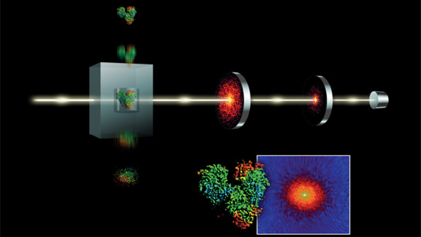 The LCLS will create 3-D images of single molecules using ultrafast pulses of very intense hard X-rays.