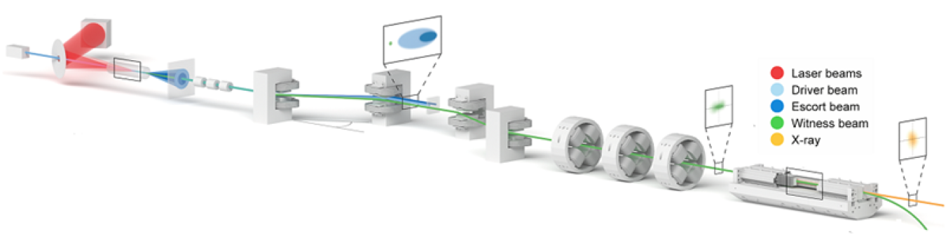 Schematic of a plasma wakefield accelerator using optical laser beams and electron driver, escort, and witness beams for generating bright, coherent X-ray laser beams with attosecond duration and sub-Angstrom wavelength.