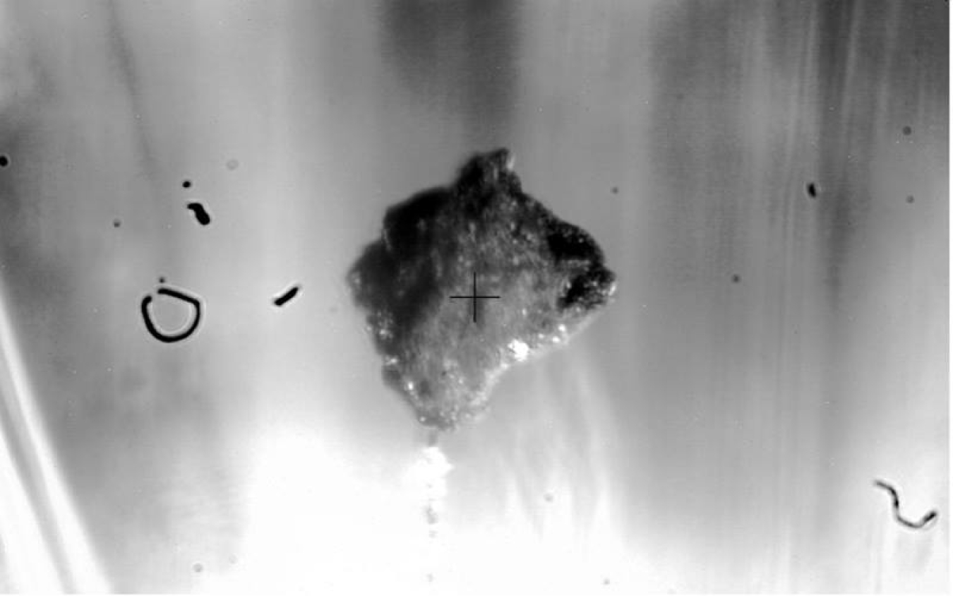 Microscope image of one of the small fragments of asteroid 162173 Ryugu studied by scientists at the Advanced Photon Source. This fragment is roughly 400 microns in diameter, or about the width of six human hairs.