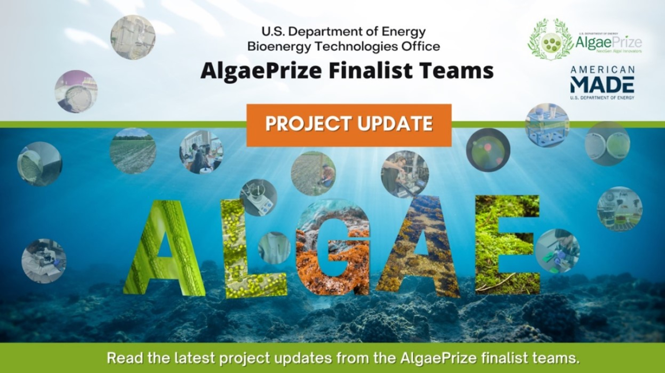 Algae Prize Finalists Graphic