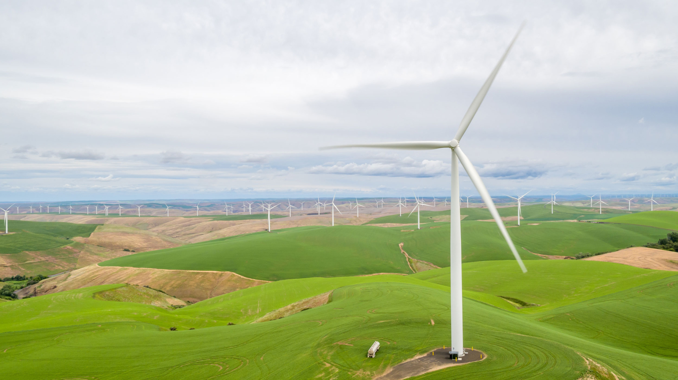 Wind turbines in a field