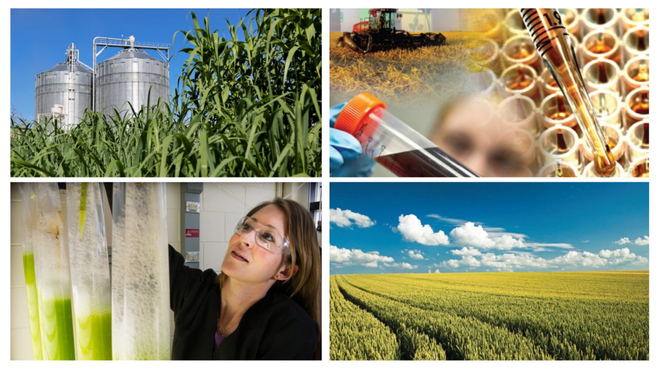 4 Picture Bioenergy Collage