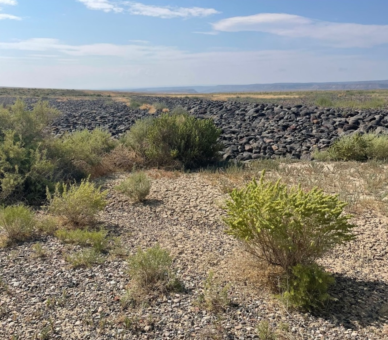 The disposal cell near Grand Junction, Colorado, is one of LM’s real property assets.