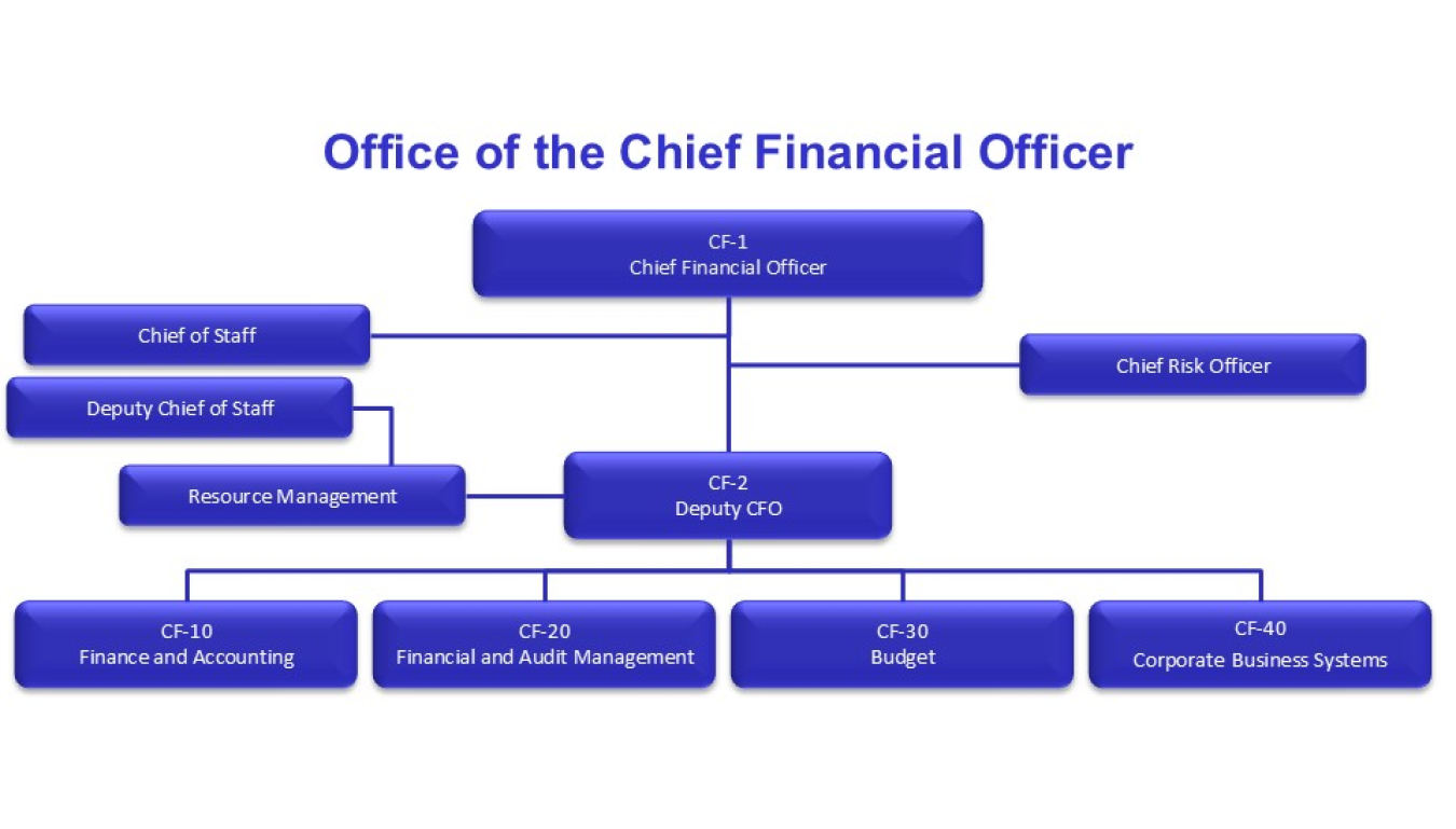 Organization Chart for the Office of the Chief Financial Officer