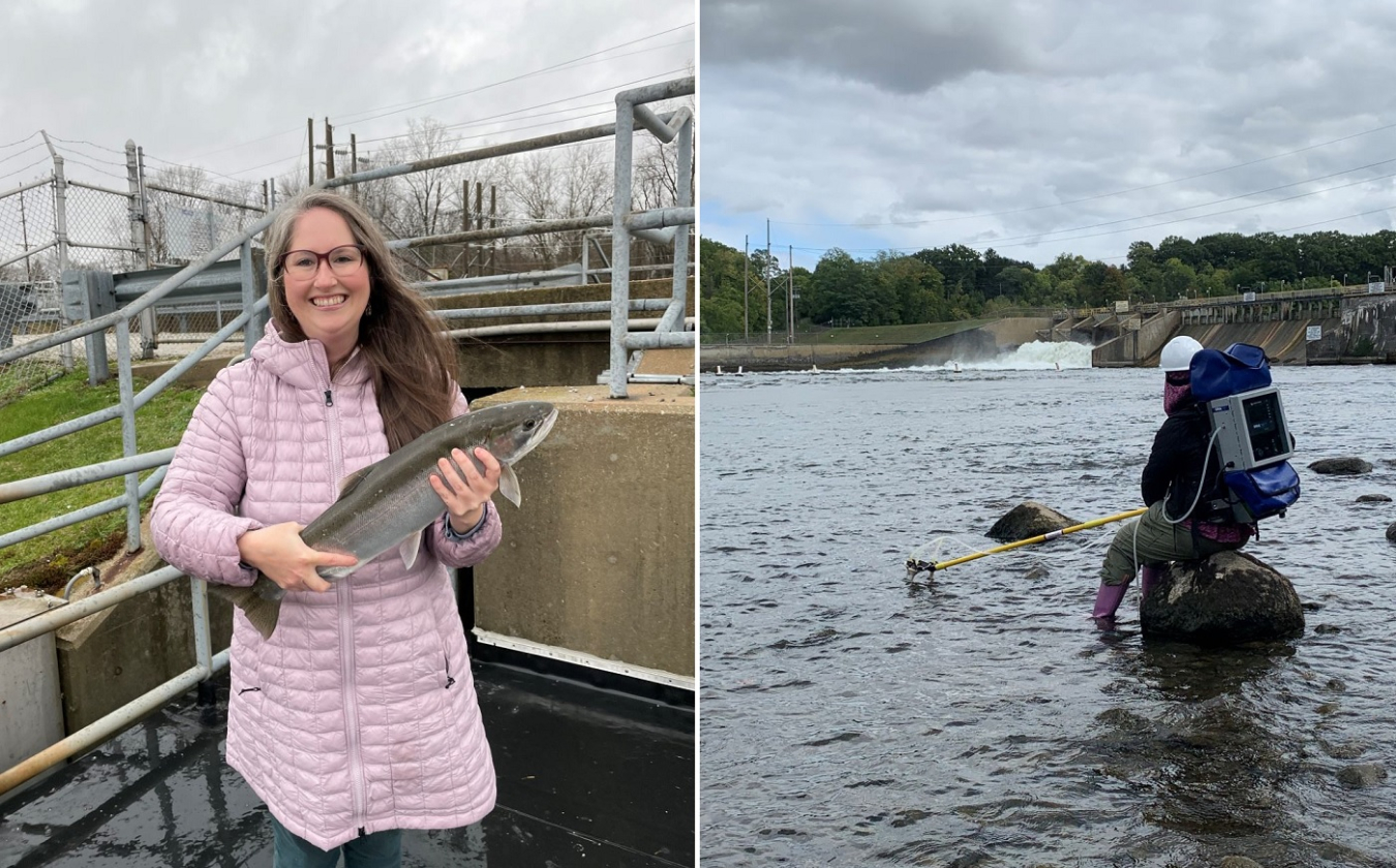 Two images combined - one is Kristine Moody holding a fish and the other is Moody collecting water samples in a river near a hydropower dam