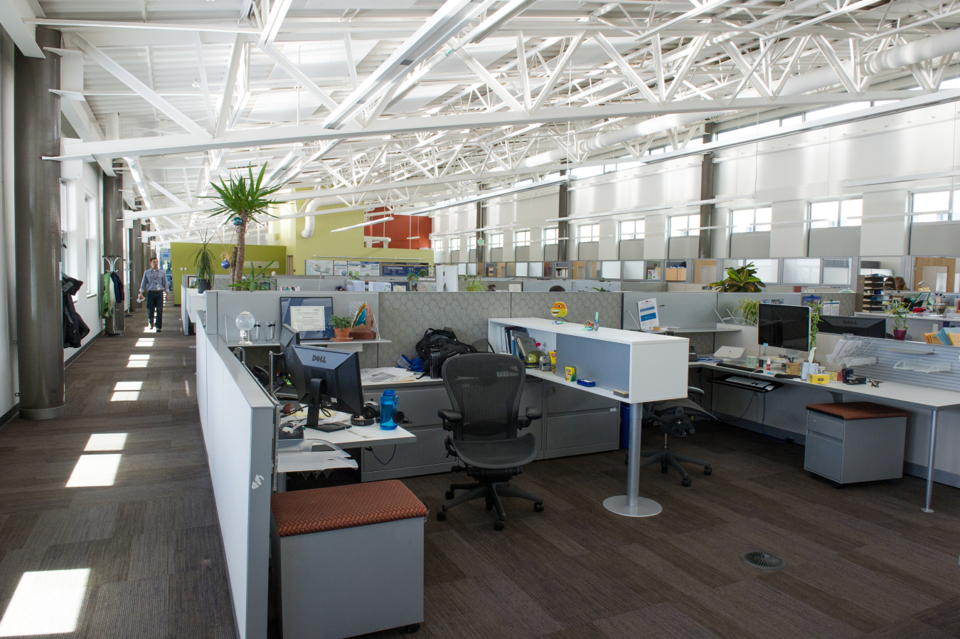 A large office space in a commercial building, showing lots of cubicles.