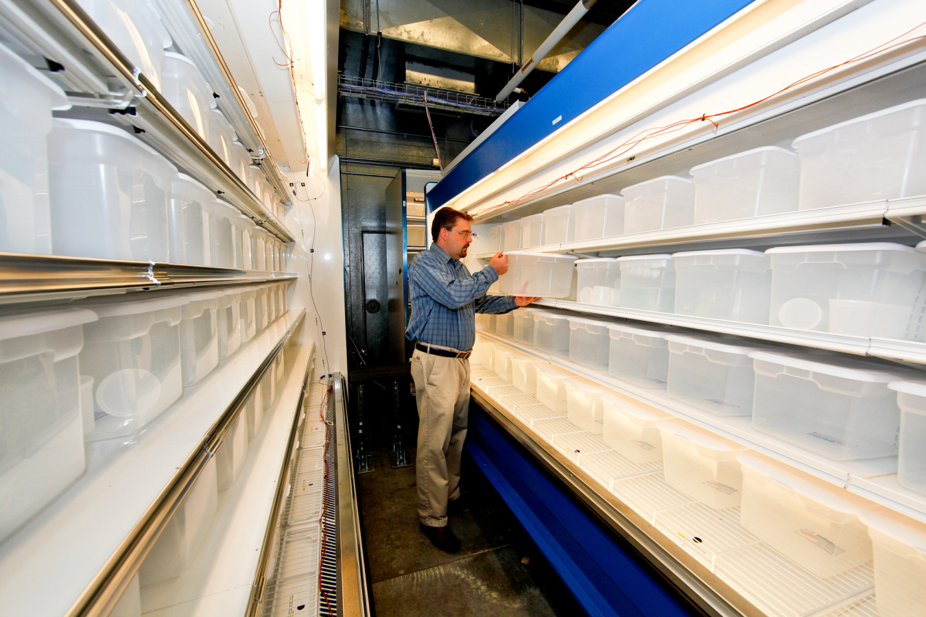 Photo of a man standing next to rows of plastic storage bins.