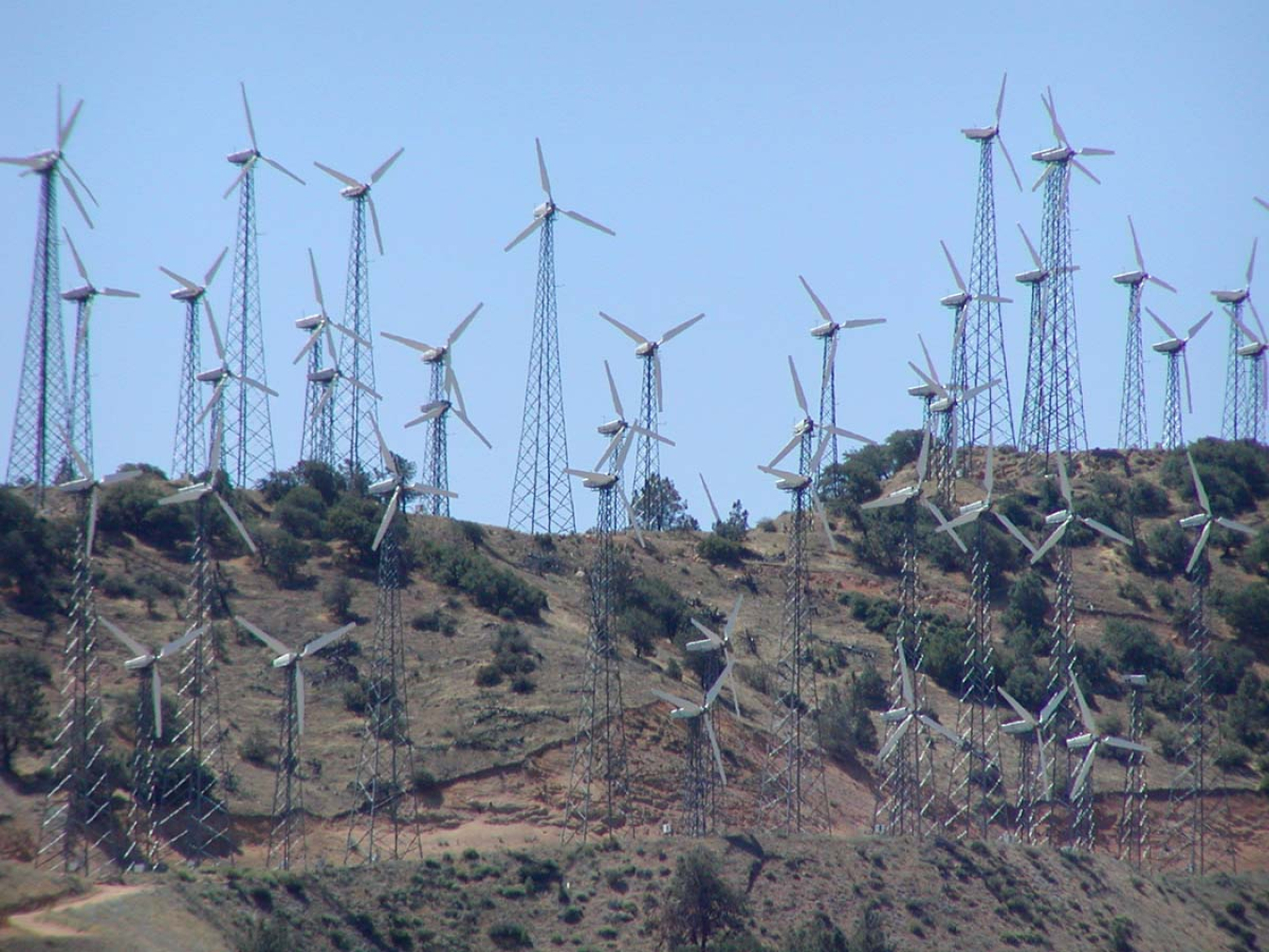 Photo of a large wind farm