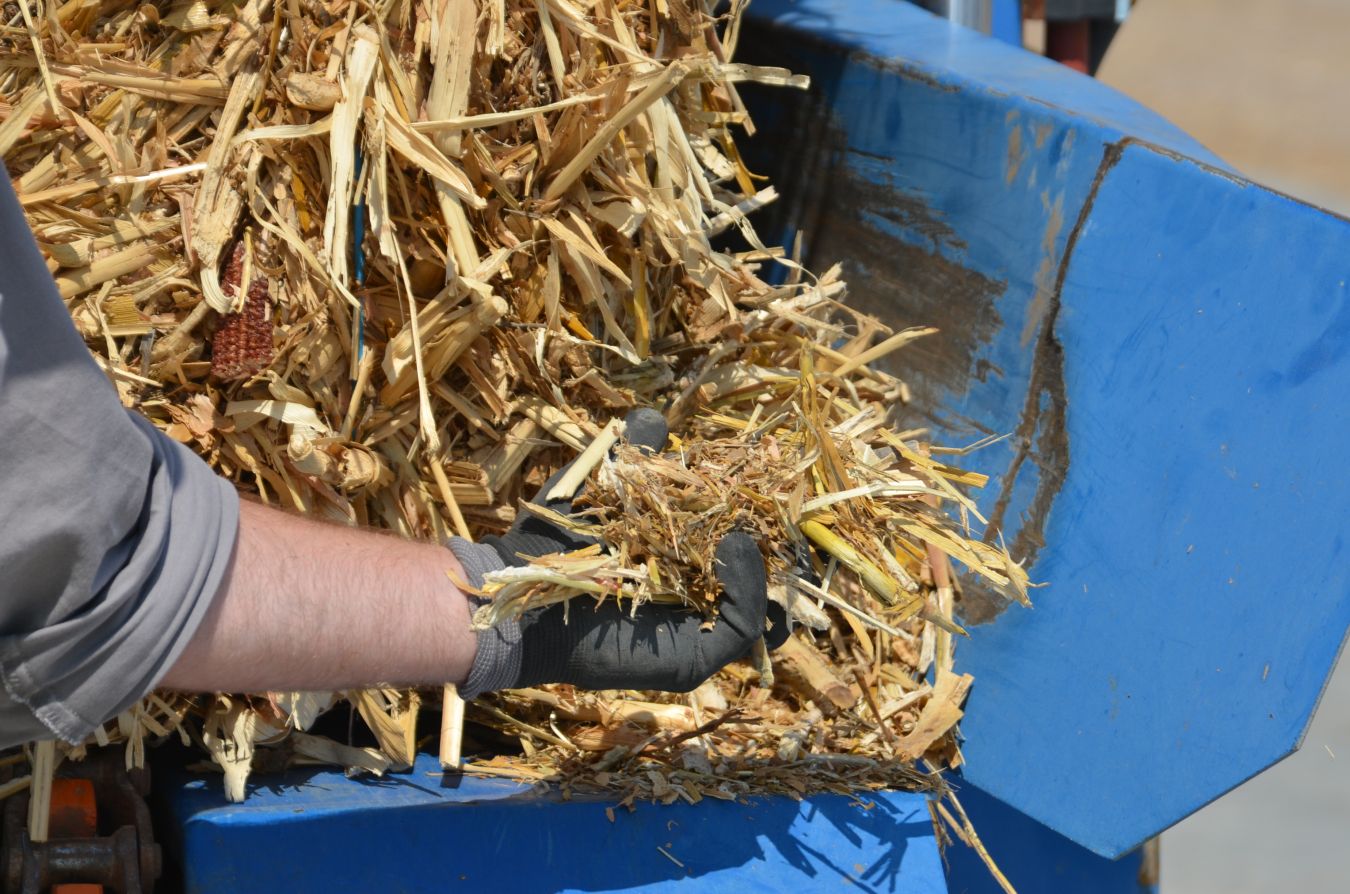 Abengoa_Biomass close up with hand.jpg