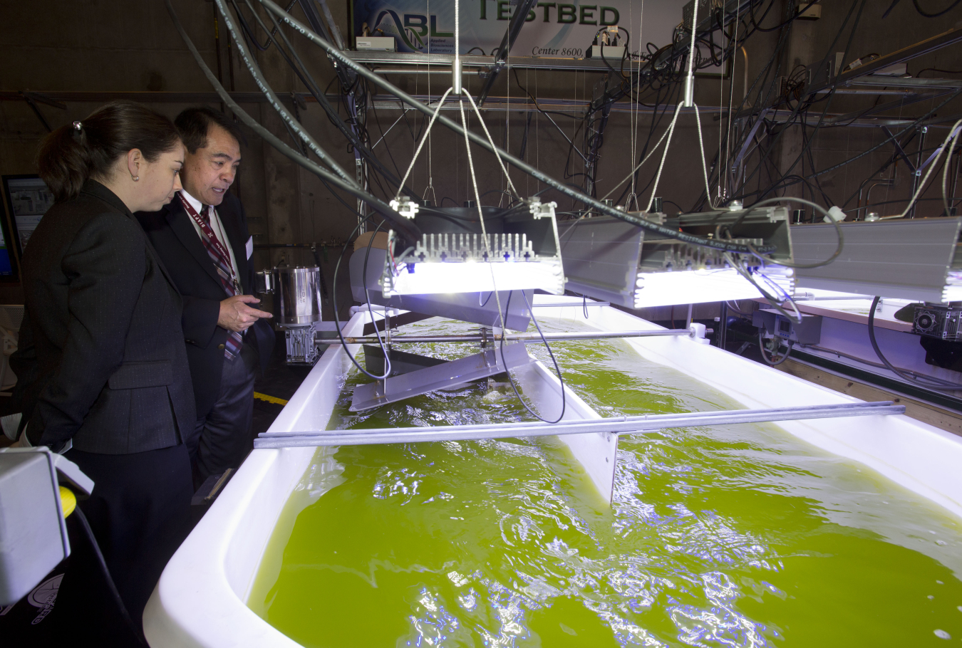 Algae Raceway_C1A3581x.jpg