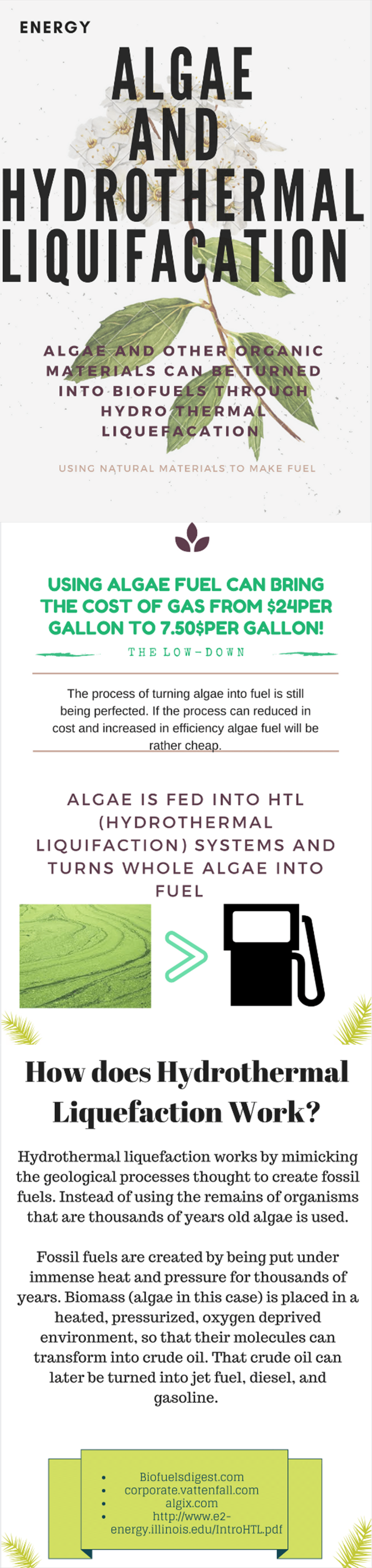 This infographic was created by students from Lower Richland High School in Hopkins, SC, as part of the U.S. Department of Energy-BioenergizeME Infographic Challenge. The BioenergizeME Infographic Challenge encourages young people to improve their foundat