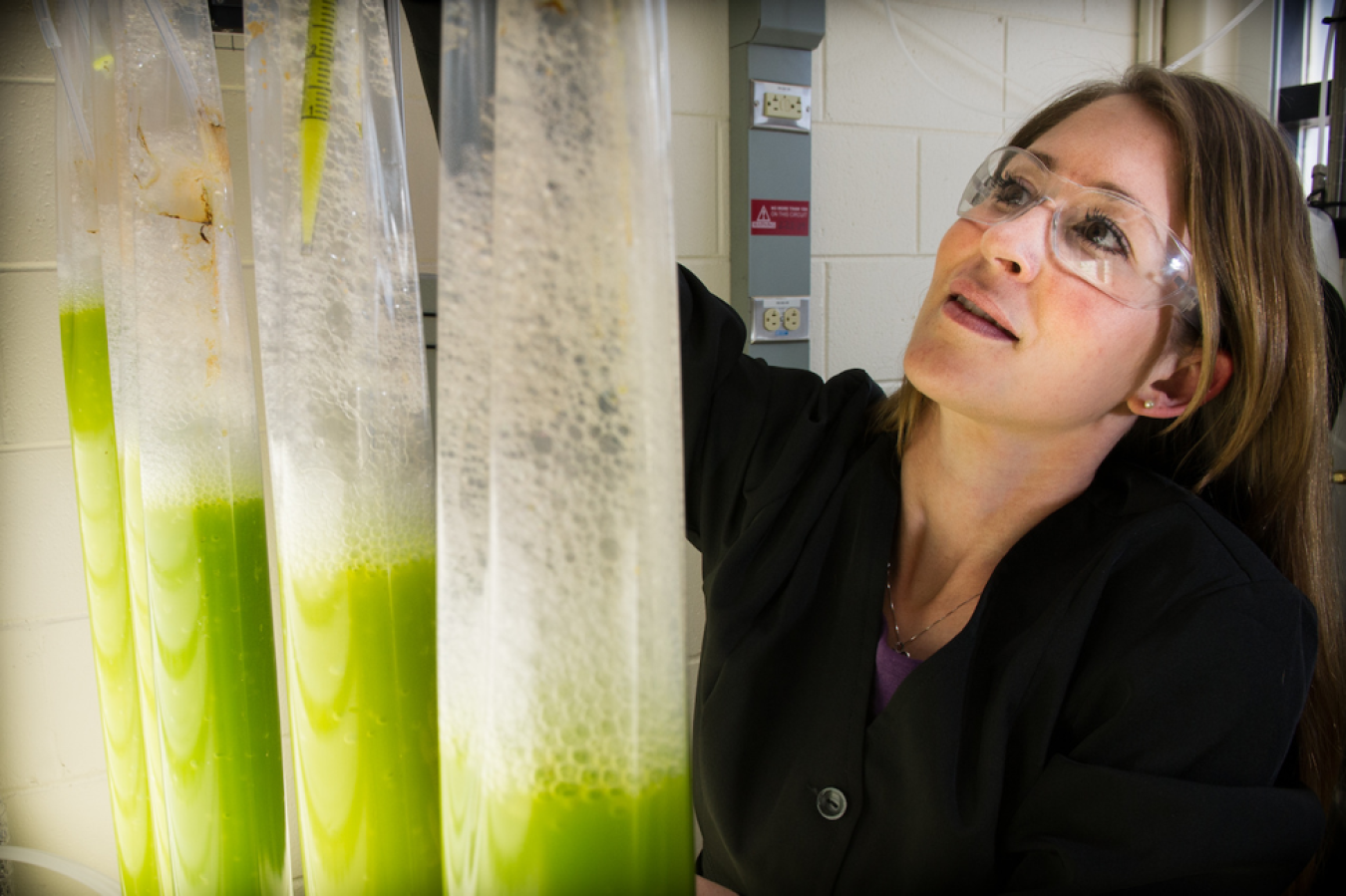 female researcher with algae