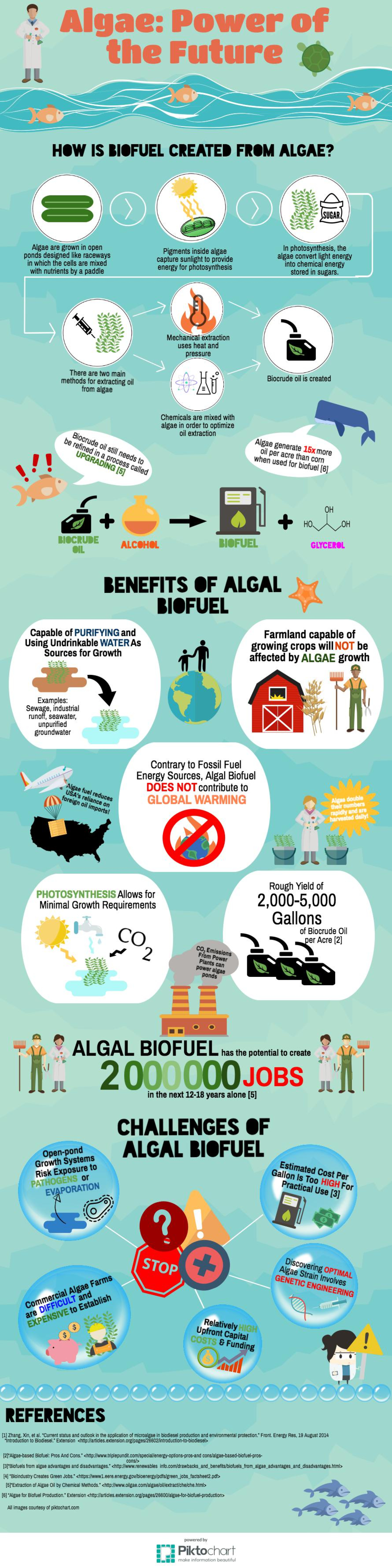 This infographic was created by students from Smithtown High School EAST in St. James, NY, as part of the U.S. Department of Energy-BioenergizeME Infographic Challenge. The BioenergizeME Infographic Challenge encourages young people to improve their found