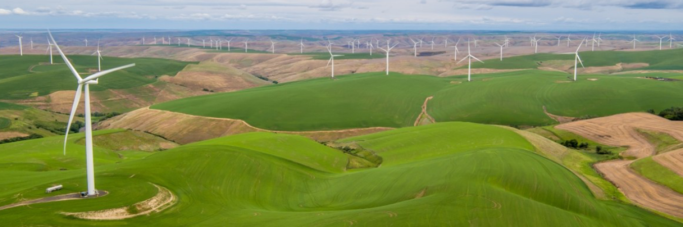 A collection of wind turbines in a field