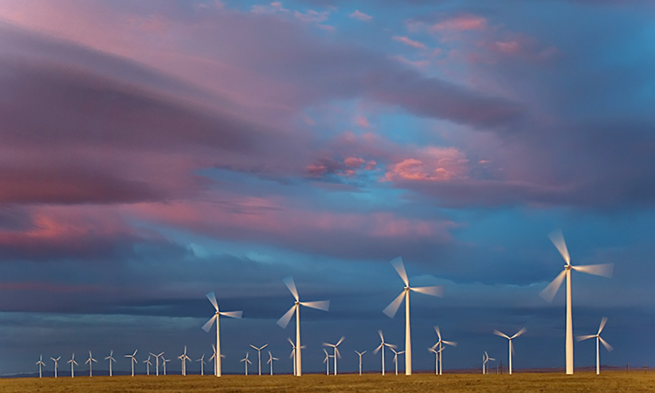 Photo of a field of wind turbines