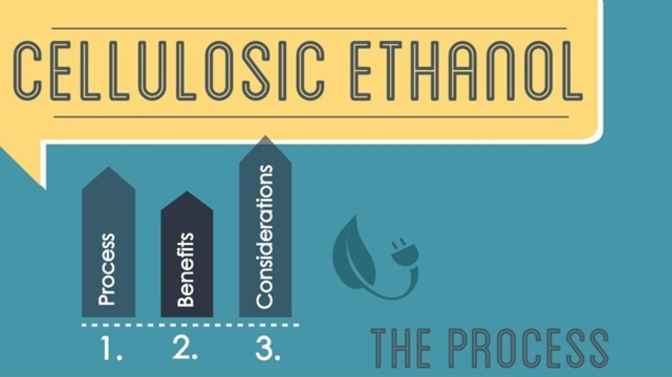 cellulosic ethanol_cropped1.jpg