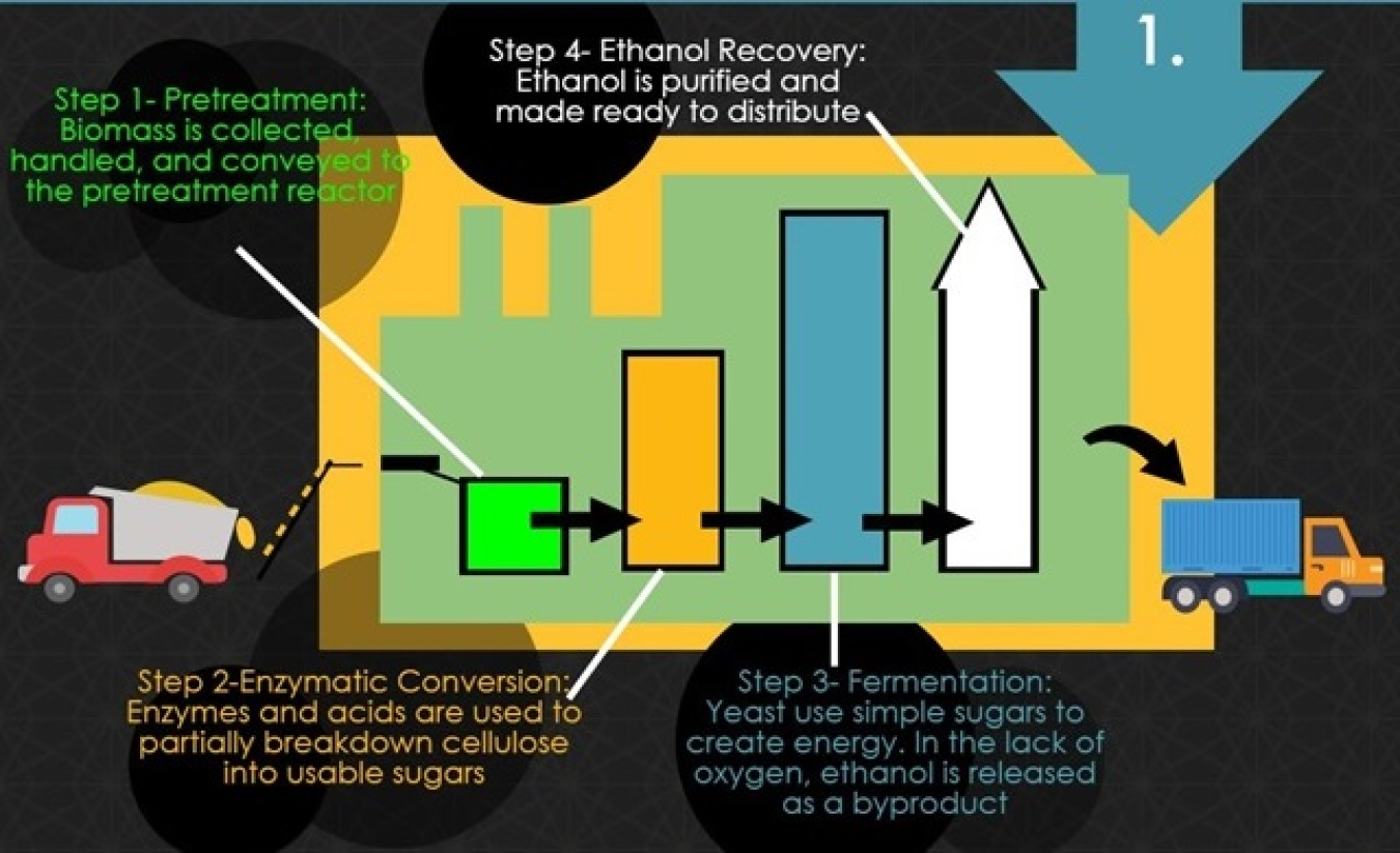 cellulosic ethanol_cropped2.jpg