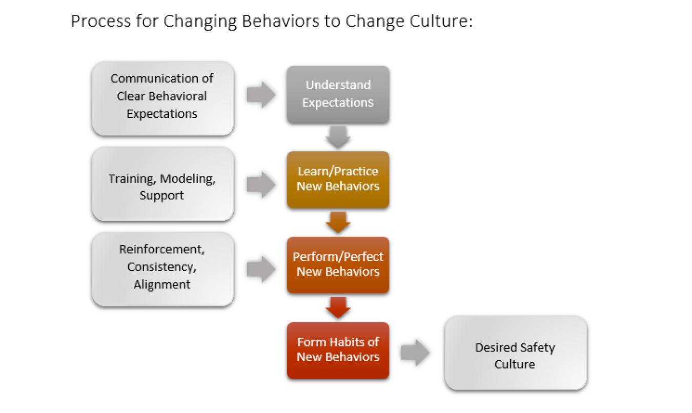 changing-behavior-to-change-culture.png