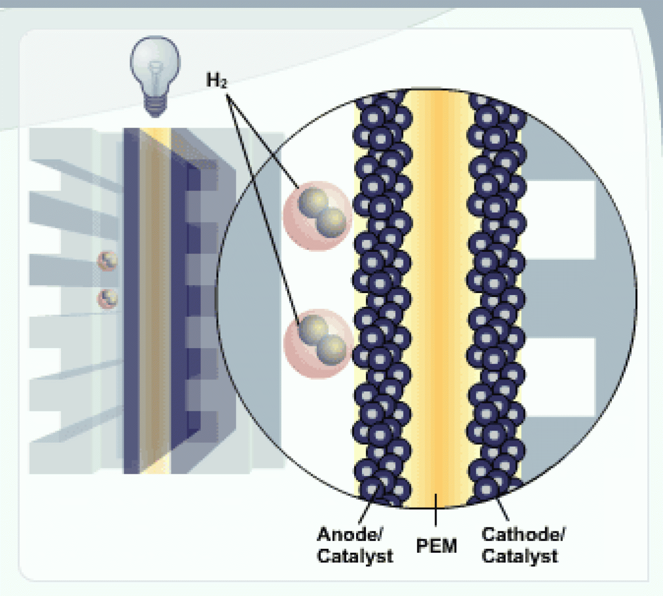 Close up of fuel cell showing two hydrogen atoms, the anode, PEM, and cathode.