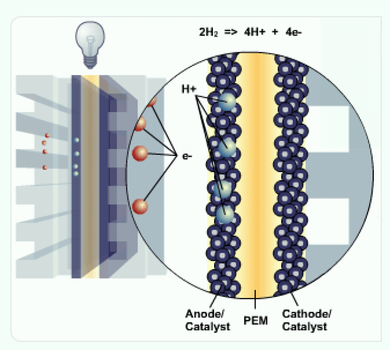 Fuel cell close up. Two hydrogen atoms now broken into four electrons traveling up flow plate and four protons passing through anode.