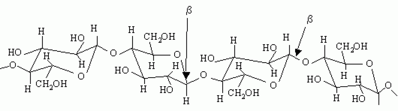 graph1.gif