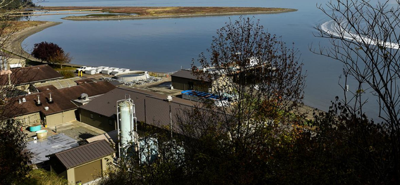 PNNL's Marine Sciences Laboratory (MSL) campus.