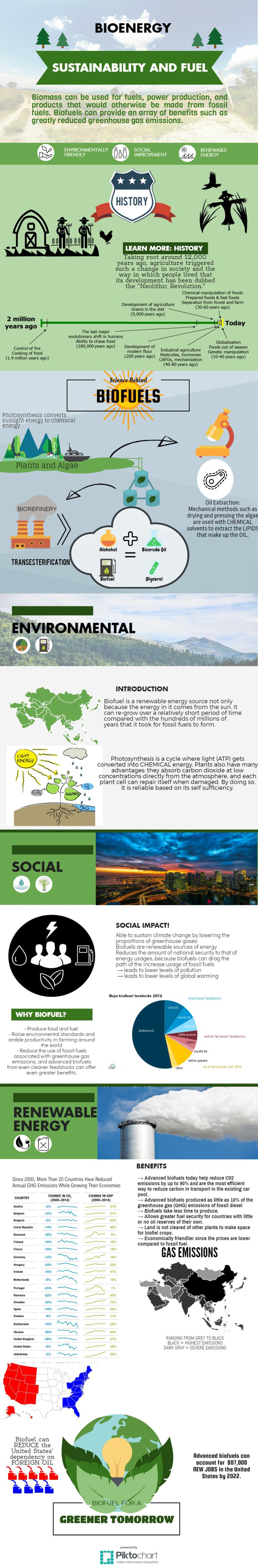 This infographic was created by students from N/A in Anaheim, CA, as part of the U.S. Department of Energy-BioenergizeME Infographic Challenge. The BioenergizeME Infographic Challenge encourages young people to improve their foundational understanding of 